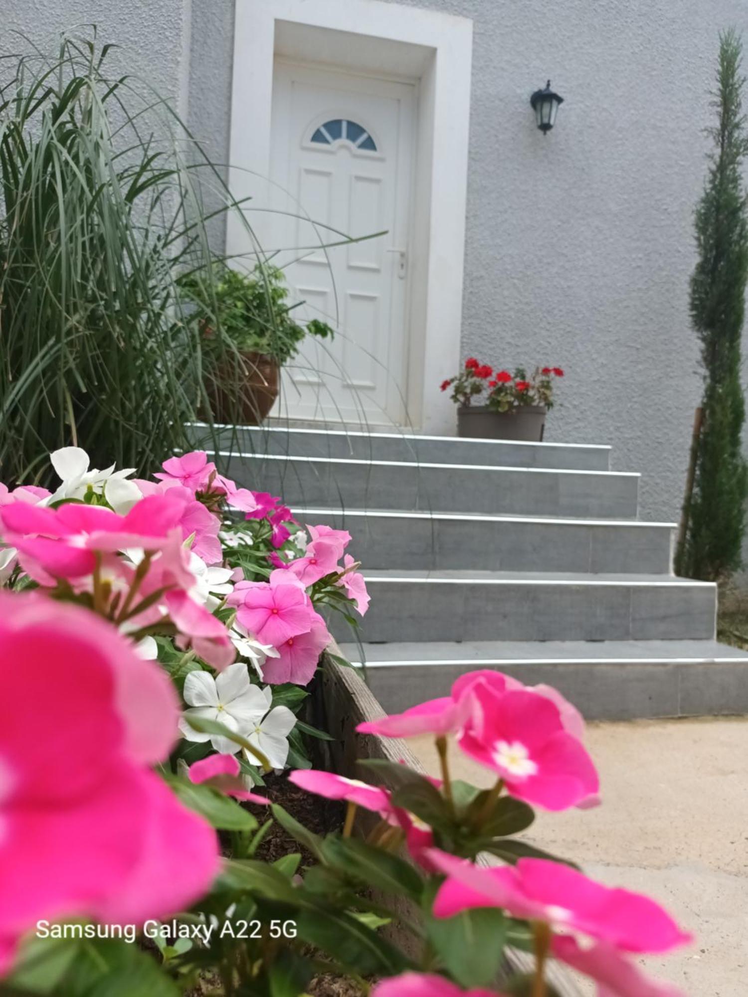 Villa San Salvador Torreilles Plage 외부 사진